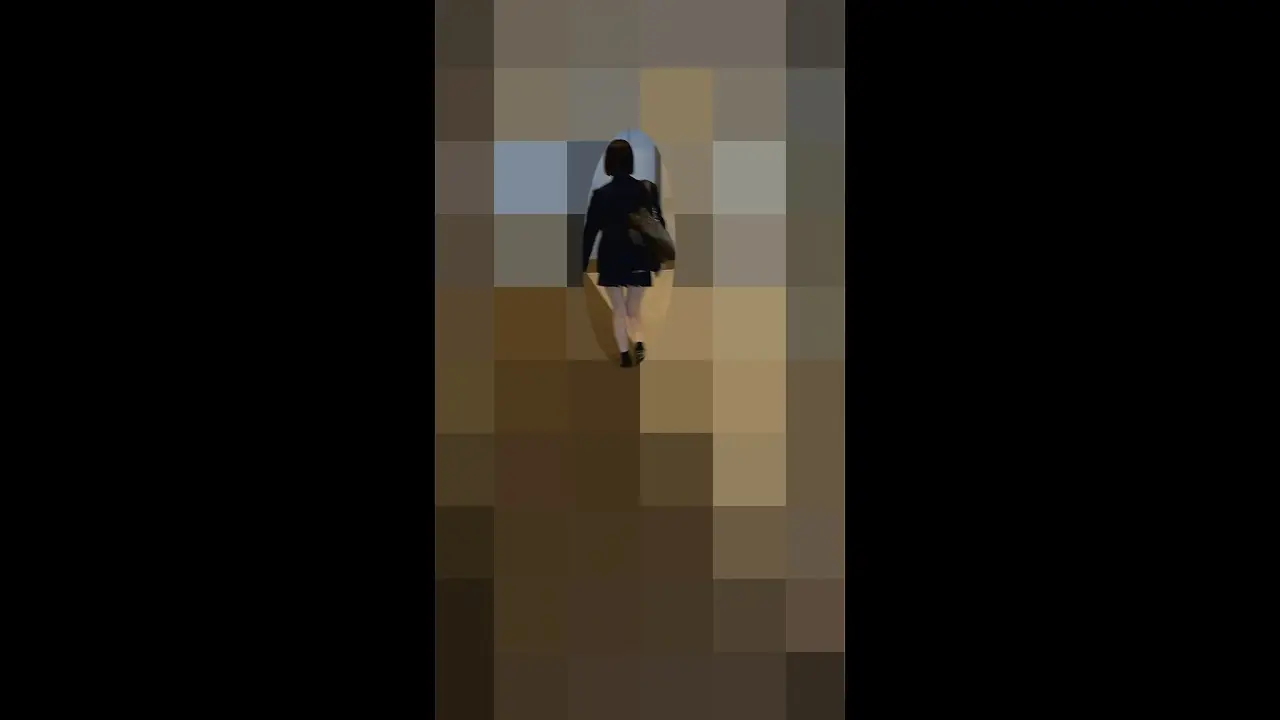 【4日間限定】［31日まで特別販売］［特別編］オートロック突破、非常階段へ連れ出し、生中出しで狂う完全NG娘