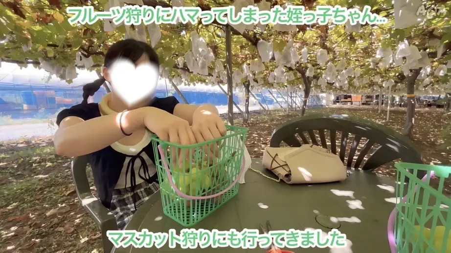 【特価★姪っ子ちゃん夏休み3日間】大好きなフルーツ狩り満喫〜車内悪戯・四つん這いでもイキまくり〜